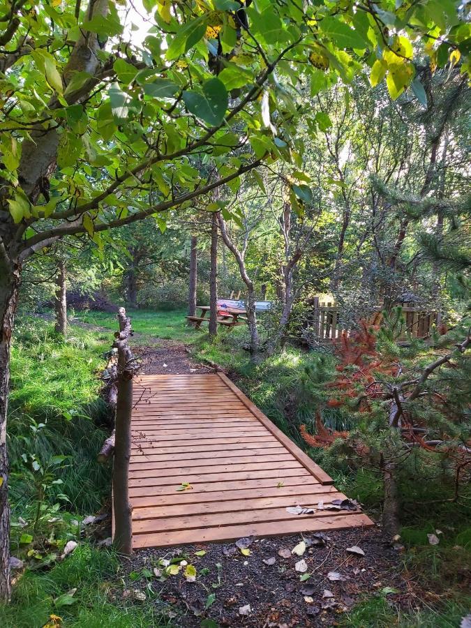 אקורירי Bakkakot 3 Cozy Cabin In The Woods מראה חיצוני תמונה