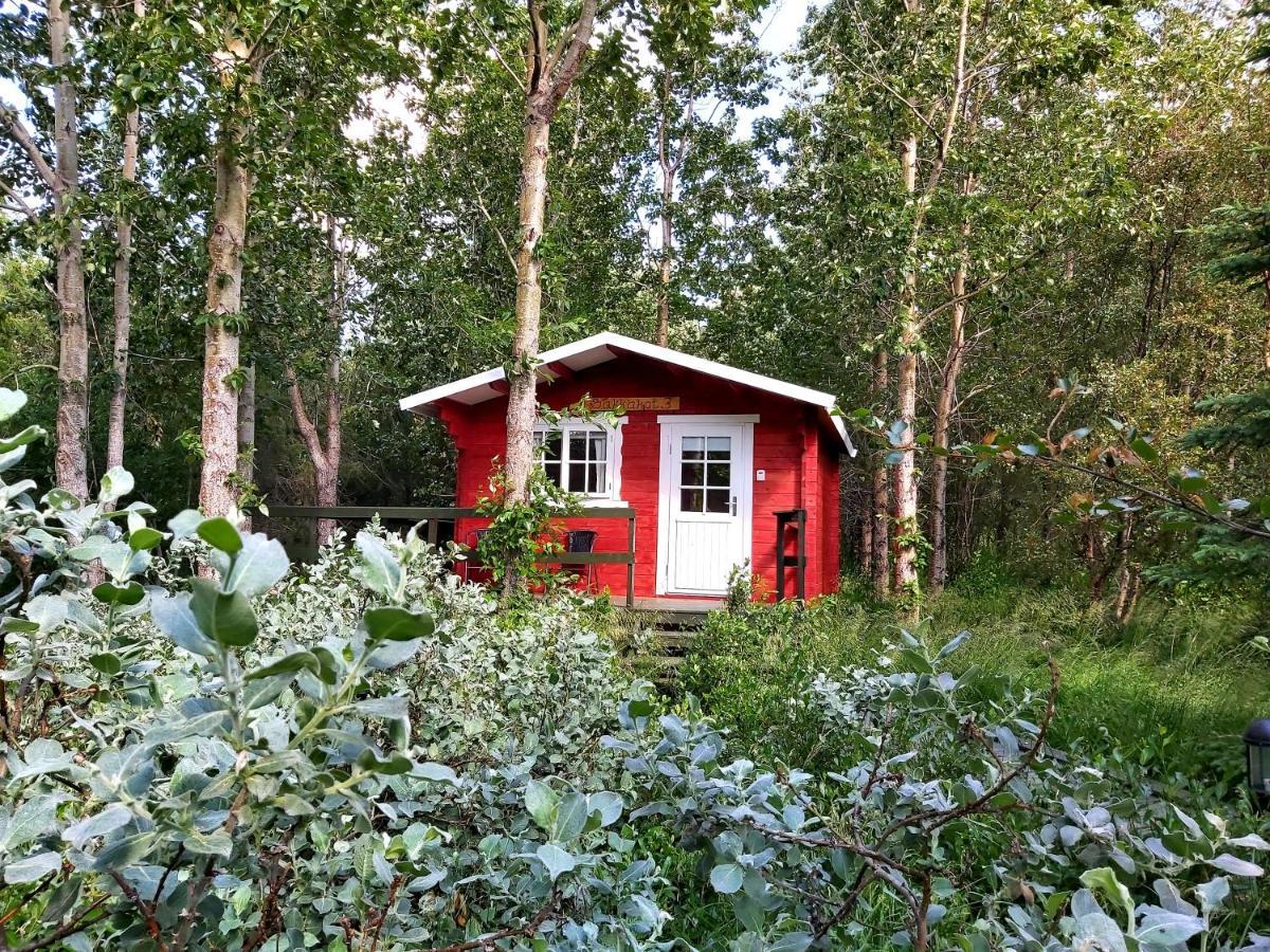 אקורירי Bakkakot 3 Cozy Cabin In The Woods מראה חיצוני תמונה