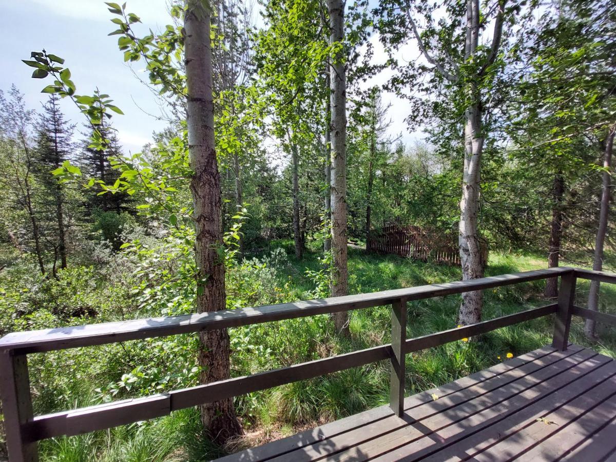 אקורירי Bakkakot 3 Cozy Cabin In The Woods מראה חיצוני תמונה